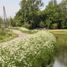 Countryside