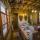 Suite Aventurine