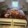 B&B kamer
