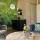 Tiny house Lieveheersbeestje