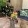 Tiny house Lieveheersbeestje