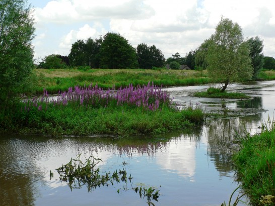 B&B Swaluw's kiek