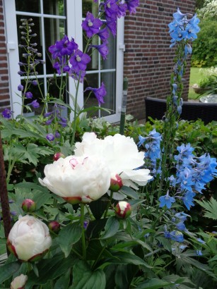 B & B Tussen Broek en Duin