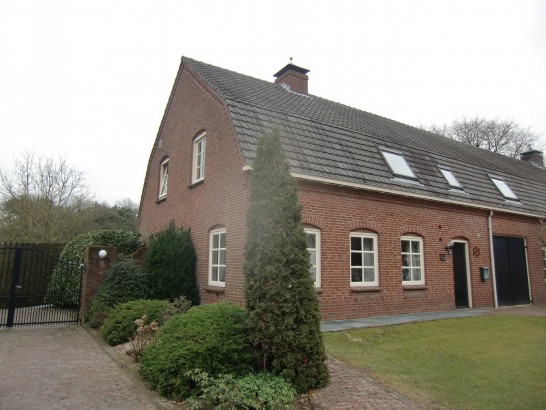 De Paddestoel
