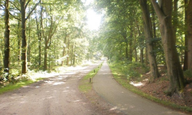 B&B Bosryck Eelen