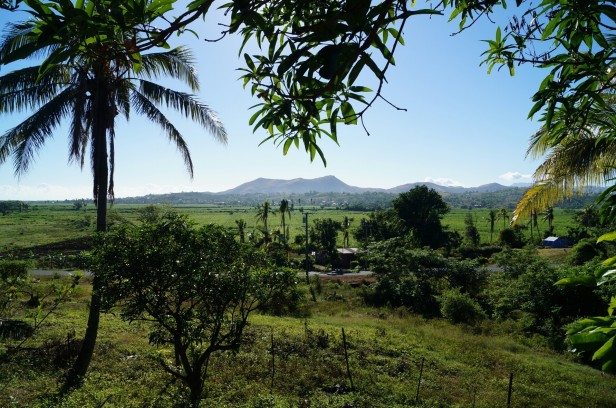 Hillside Paradise