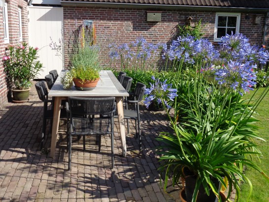 B & B Tussen Broek en Duin