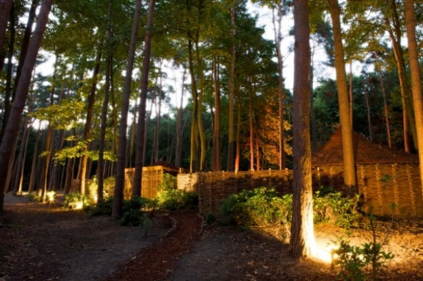 Nooz - design paviljoen incl. mysticwater ervaring en privé bos