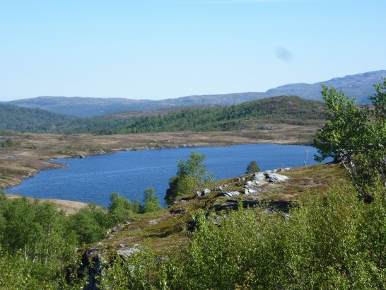 Gjesteheim Havdal
