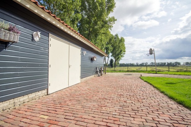 Arendsnest