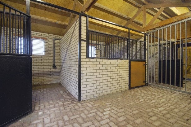 Arendsnest