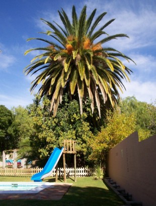 101 Oudtshoorn Holiday Accommodation