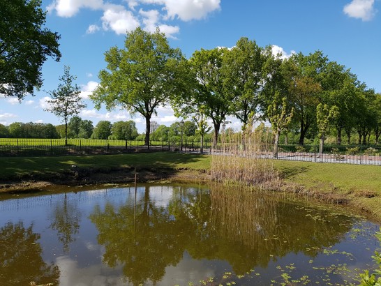 Arendsnest