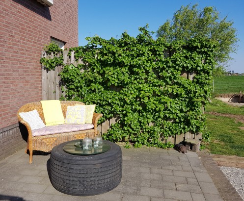 De Brembroeken