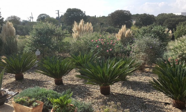 B&B Villa Lavanda