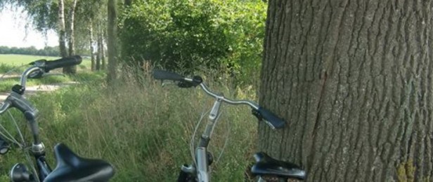 De Paddestoel - Gastenverblijf