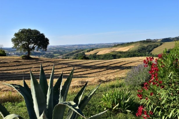 Bed & Breakfast Casa dei Colli - Vakantiehuisje Oleandro