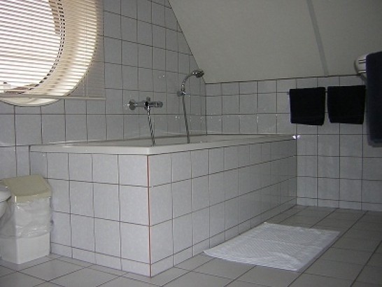 Eb en Vloed - Kamer met douche,toilet en bad