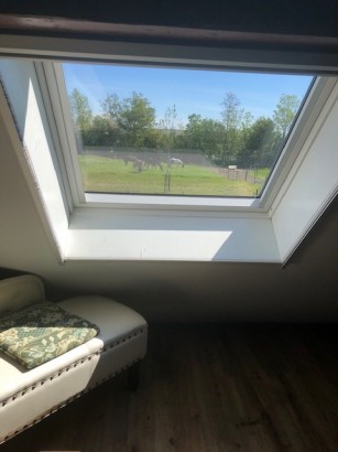 De Stjelp - B&B kamer