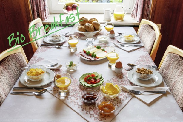 The Conscious Farmer Bed and Breakfast