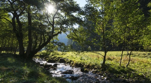 The Conscious Farmer Bed and Breakfast
