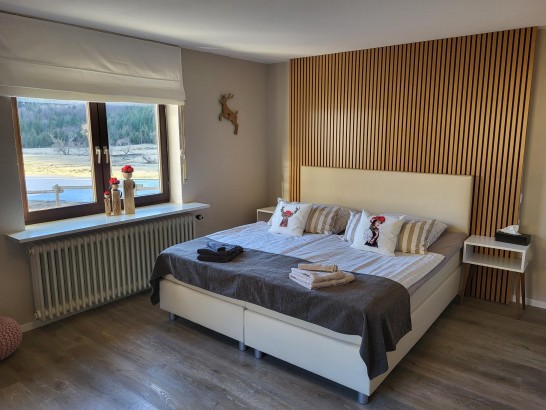 B&B Haus Cindy - Bollenhut kamer