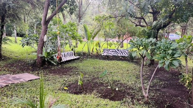 Adrenaline Lodge and Safaris