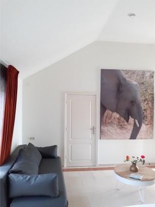 Bed & Breakfast Trouwborst - Benedenkamer 2