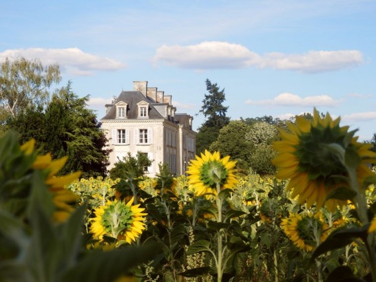 Château la Mothaye
