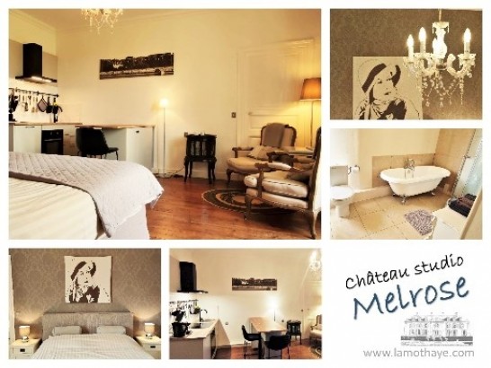 Château la Mothaye - Chateau appartement - Calville d'Aout