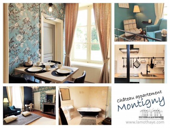 Château la Mothaye - Chateau appartement - Montigny
