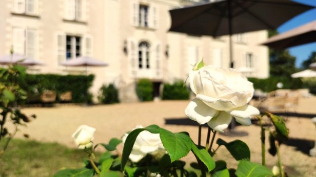 Château la Mothaye - Chateau studio - Melrose