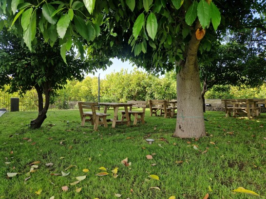 Agriturismo Lumia Resort