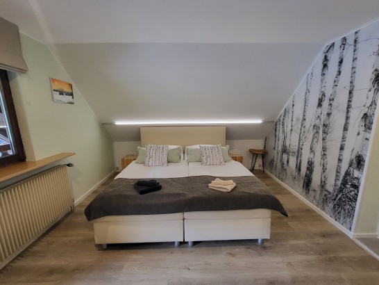 B&B Haus Cindy - birken waldzimmer