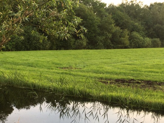 De Warrewein - Retraitehuisje met buitenbad
