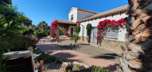 Bed & Breakfast Casa don Carlos