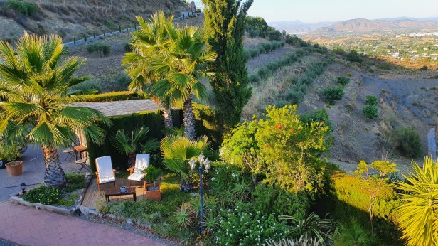 Bed & Breakfast Casa don Carlos