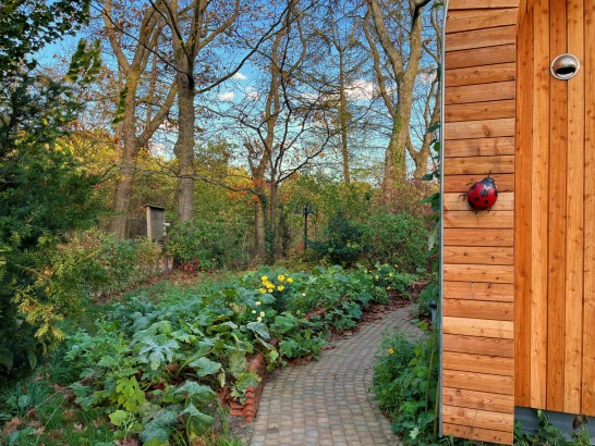 De Roek Vakantiebungalows - Tiny house Lieveheersbeestje