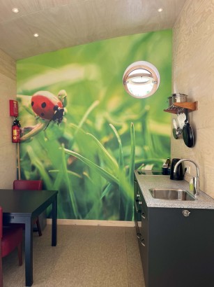 De Roek Vakantiebungalows - Tiny house Lieveheersbeestje
