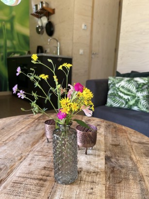 De Roek Vakantiebungalows - Tiny house Lieveheersbeestje