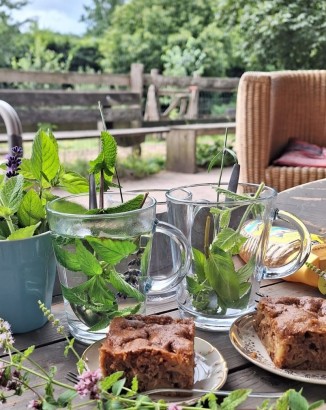 De Roek Vakantiebungalows