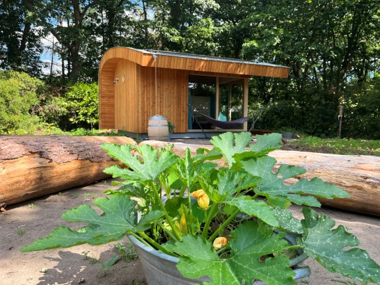 De Roek Vakantiebungalows - Tiny house Libelle