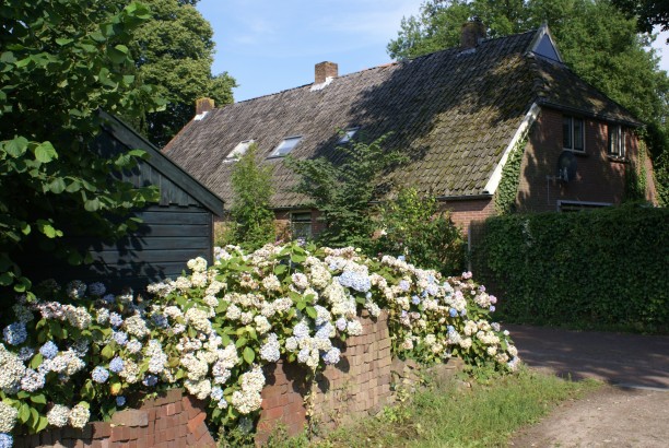 Onder de Eiken
