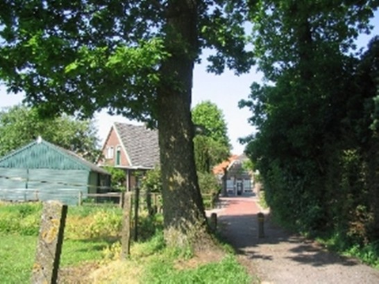 Onder de Eiken