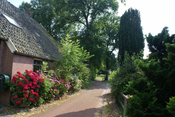 Onder de Eiken