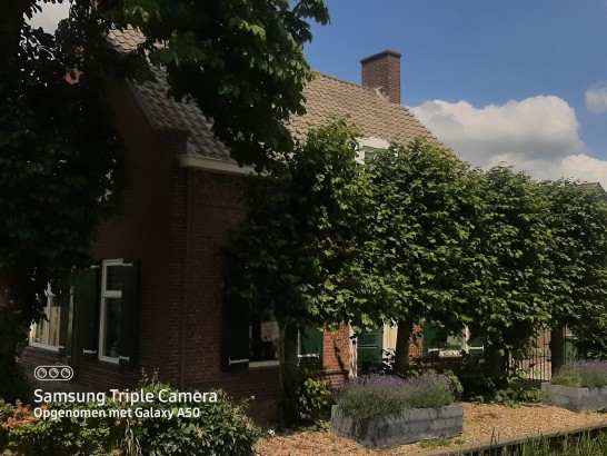 BonAparte Kamer 1