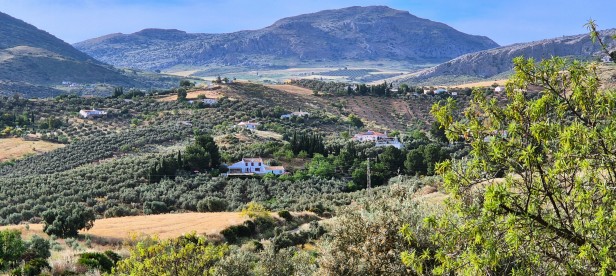Finca Amorosa