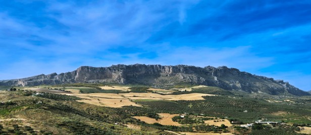 Finca Amorosa