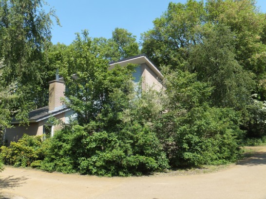 Kussengevecht