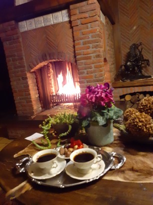 B&B Goudsbloempje